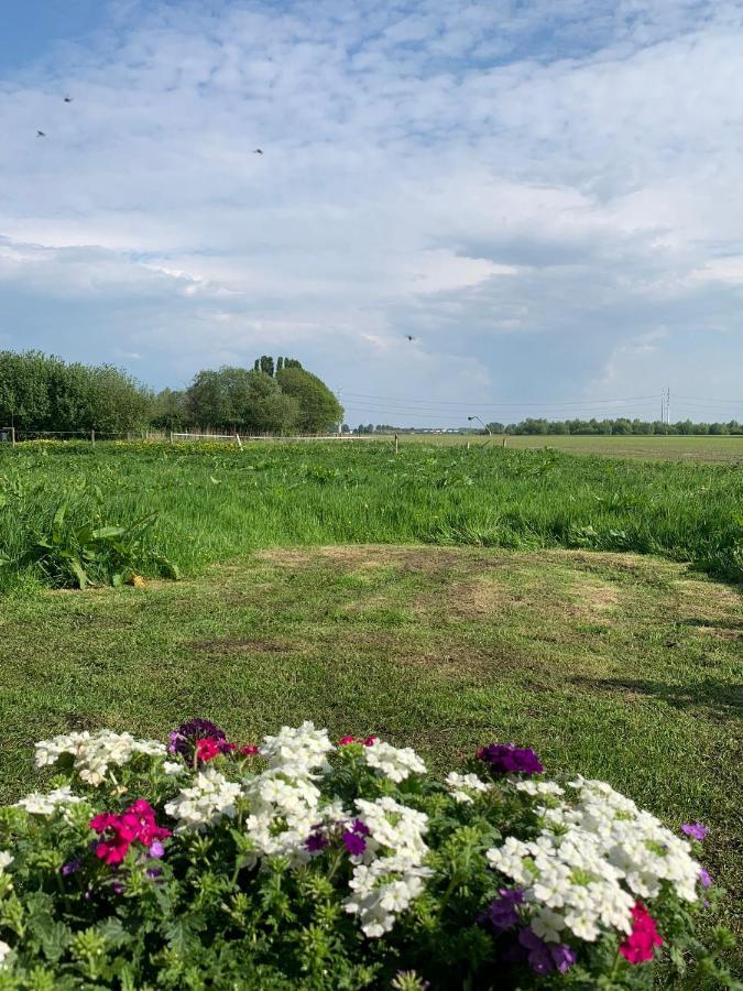 Bed and Breakfast Fields 1216 Zwaanshoek Exteriér fotografie