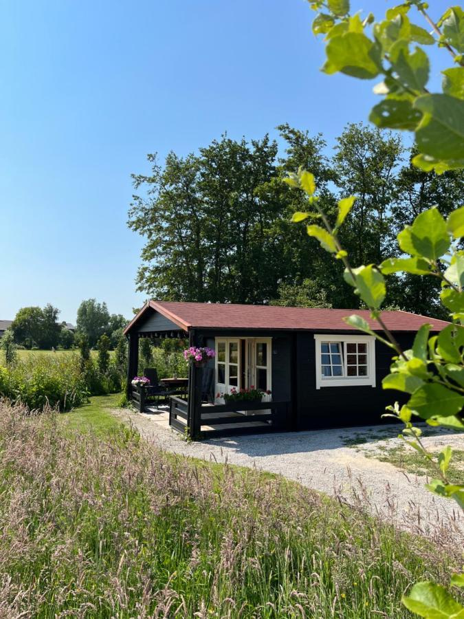 Bed and Breakfast Fields 1216 Zwaanshoek Exteriér fotografie